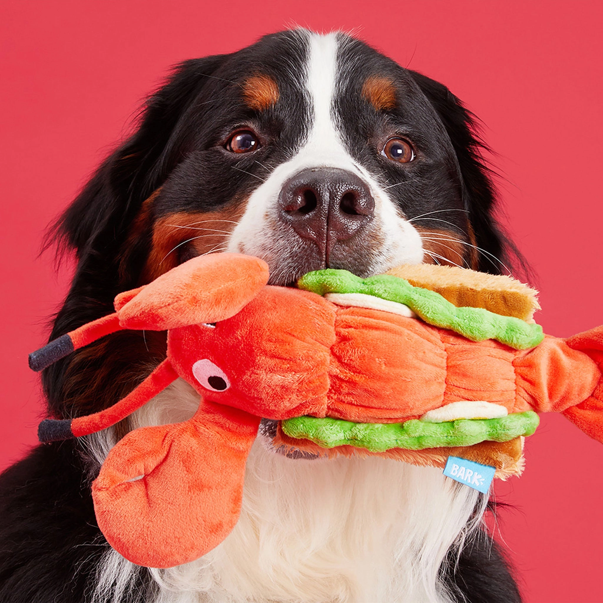 Bark Max Maine Lobster Roll Dog Toy