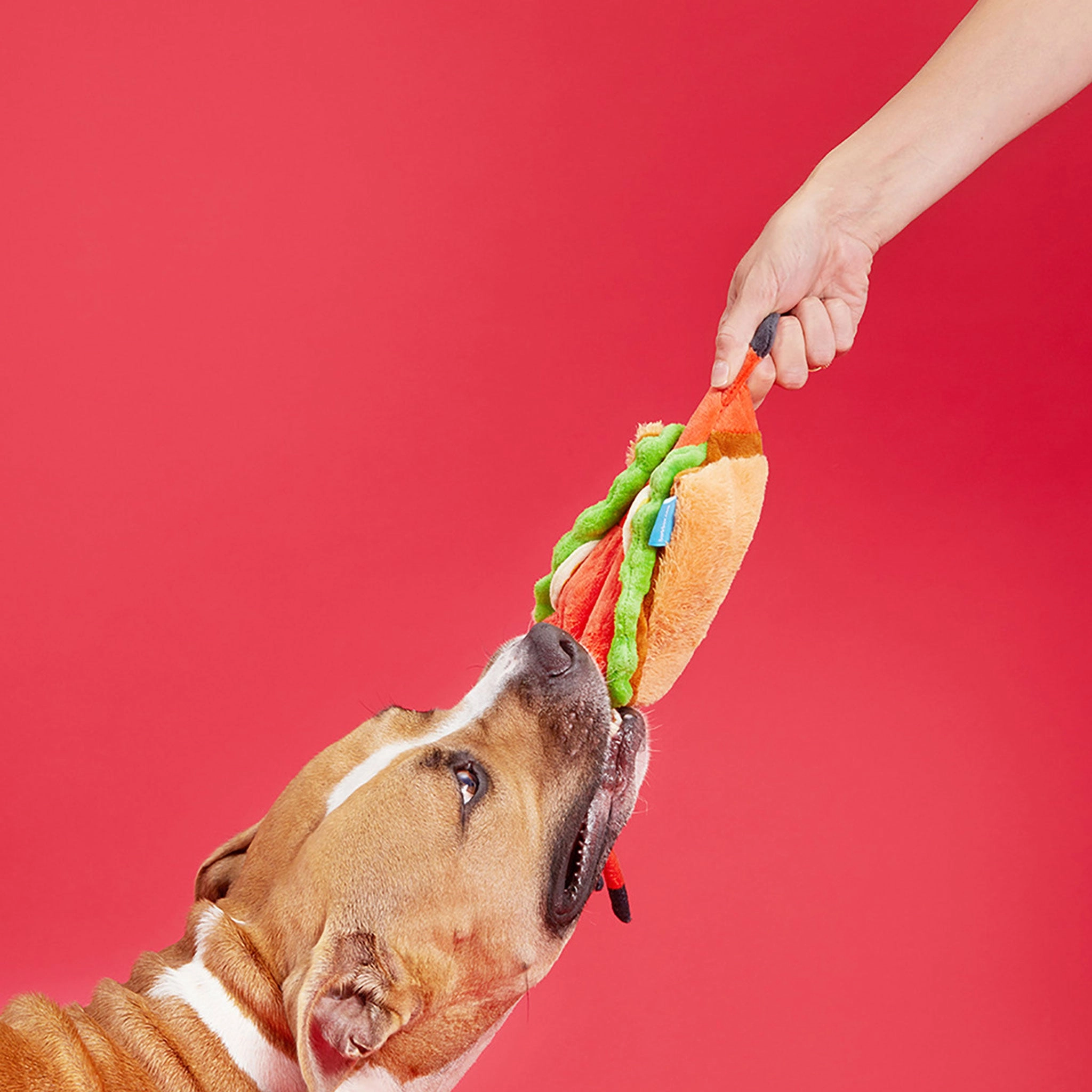 Bark Max Maine Lobster Roll Dog Toy