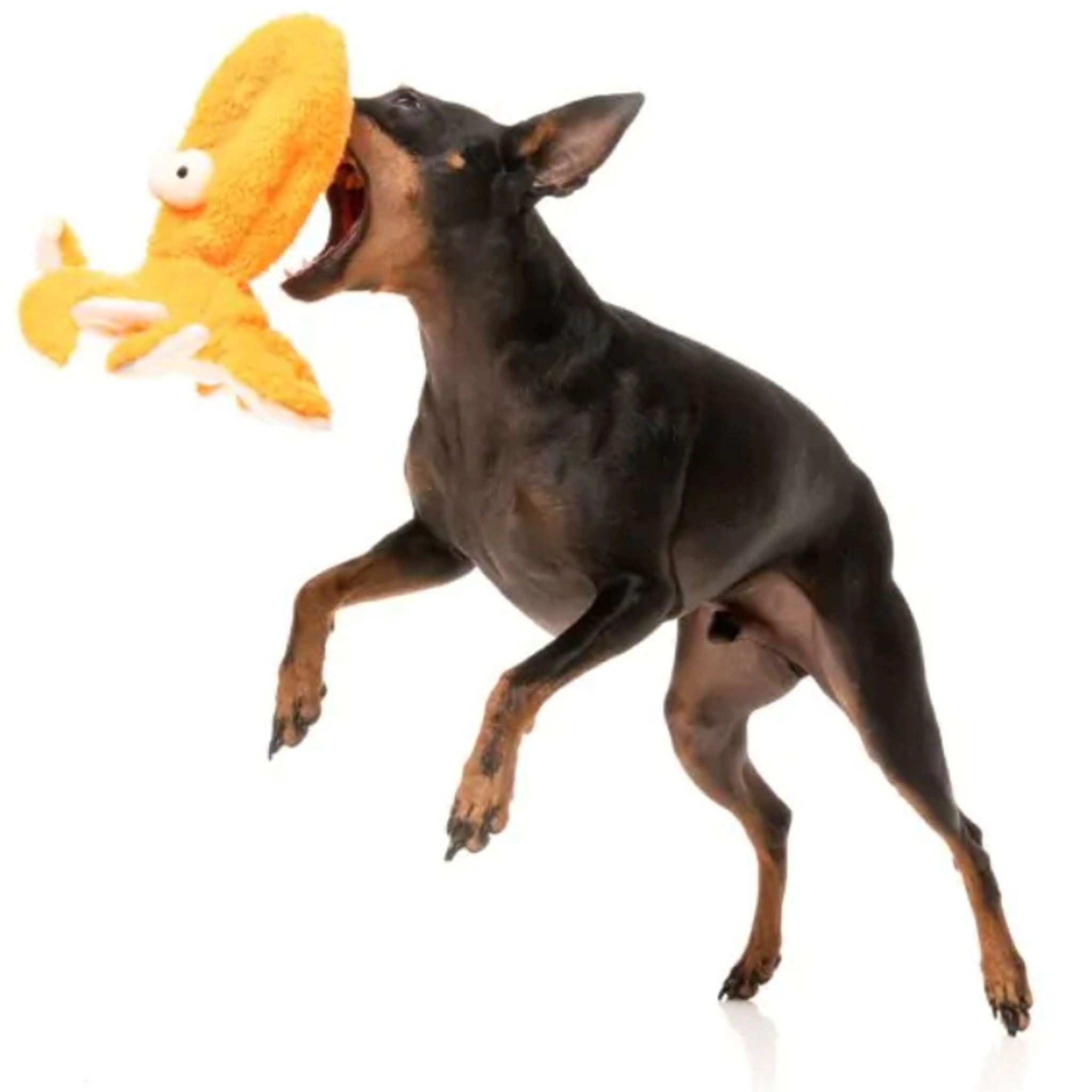 Fuzzyard Flat Out Toys Sir Legs A Lot Octopus Dog Toys