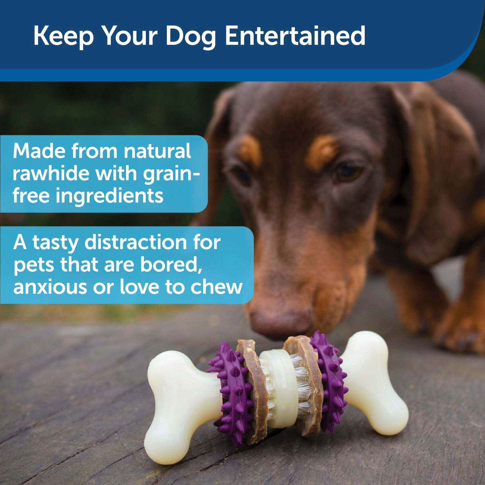 PetSafe Busy Buddy Bristle Bone Dog Toy, Extra Small