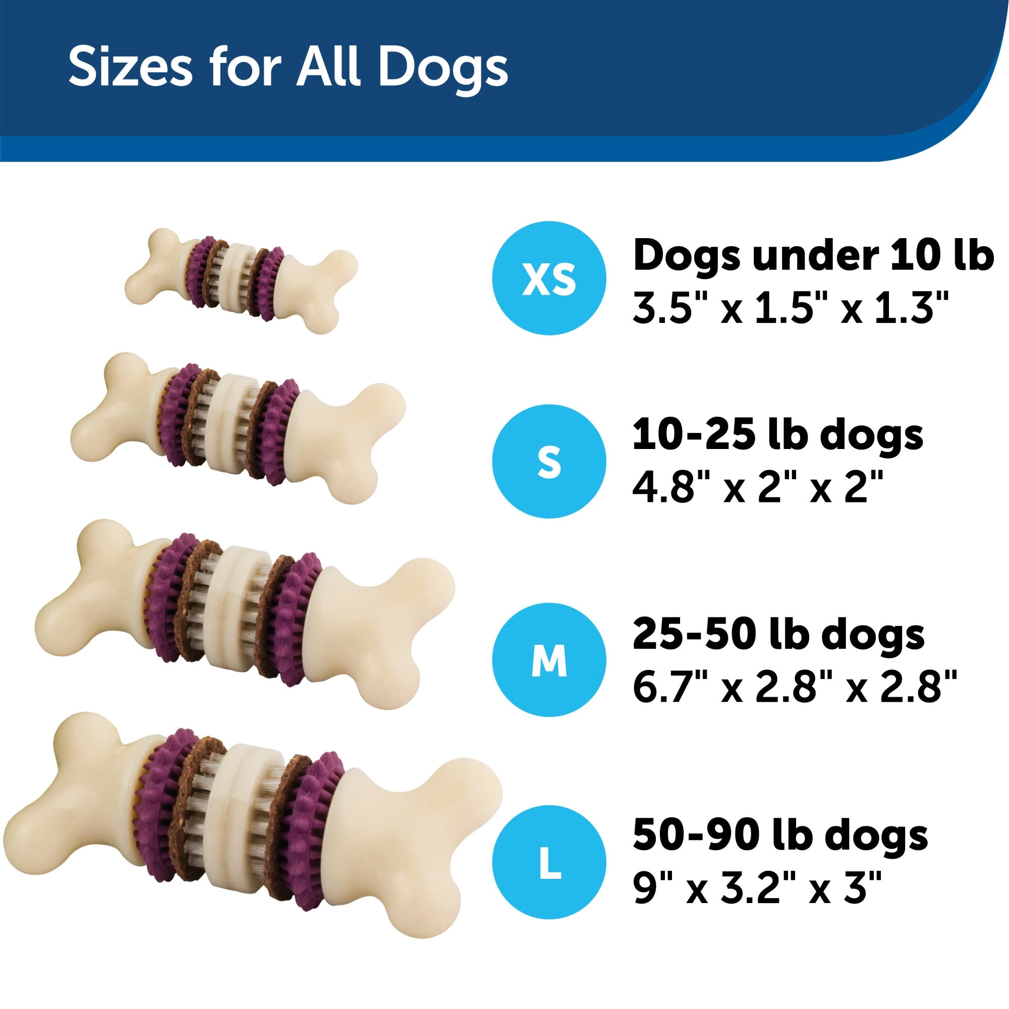 PetSafe Busy Buddy Bristle Bone Dog Toy, Extra Small