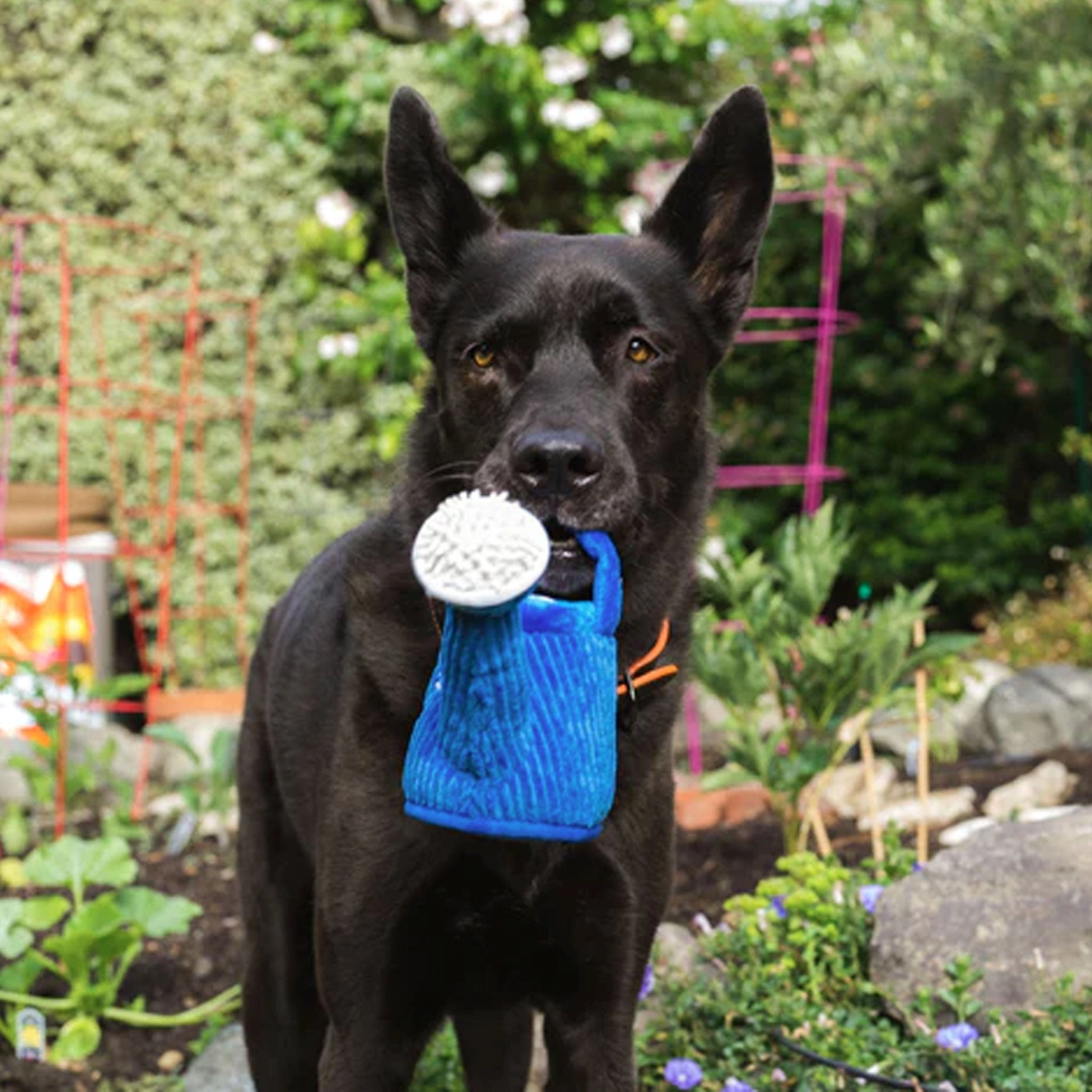 P.L.A.Y. Wagging Watering Can Dog Toy